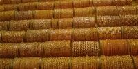 اجاره دختر و پسر نوجوان برای سرقت از طلافروشی