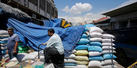 همشهری: نرخ عمده فروشی برنج،کیلویی5-6هزارتومان گران شد
