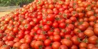 خواص شگفت انگیز گوجه فرنگی در درمان مشکلات پوستی