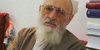 حسن زادۀ آملی؛ چرا علامه؟ متنوع‌تر از فقیهان با ادبیات و ریاضیات و فلسفه
