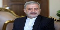 چراغ سبز ایران به عربستان/ عنایتی: تهران آماده همکاری با ریاض است 