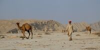 گزارش تصویری منطقه سرنگونی «پهپاد MQ-4C آمریکایی»