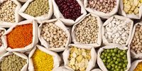 قیمت جدید حبوبات در میادین و بازارهای میوه و تره بار تهران