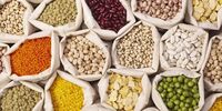 قیمت جدید حبوبات در میادین و بازارهای میوه و تره بار تهران
