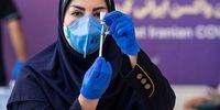 احتمال آغاز واکسیناسیون عمومی از خرداد ۱۴۰۰ با واکسن ایرانی «برکت»