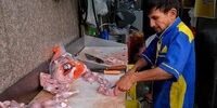 مرغ را گران تر از این قیمت نخرید