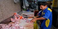 مرغ را گران تر از این قیمت نخرید
