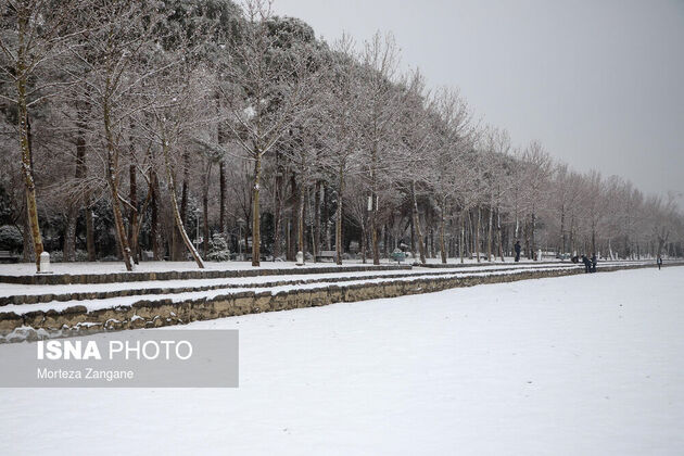 61540559_morteza-zanganeh-1830