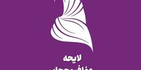 افشاگری یک نماینده مجلس درباره لایحه محرمانه عفاف و حجاب+ فیلم 