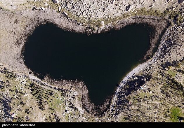 image6