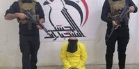 مغز متفکر داعش به دام افتاد