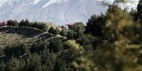مدیریت پارک های جنگلی تهران به شهرداری سپرده شد

