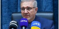 منظور: نگاه دولت به بازار سرمایه، یک نگاه حمایتی است