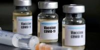 اعلام زمان ساخت واکسن کرونا توسط پزشک معروف چینی