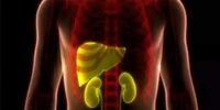 این معجون‌ها برای سم‌ زدایی کبد و کلیه معجزه می‌کند