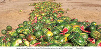 این 25 اشتباه کشور را به بحران بی‌آبی رساند