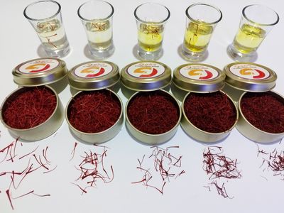 پشت پرده افزایش قیمت گوشت از زبان رئیس شورای تأمین دام کشور؛ از تغییر سیاستهای ارزی تا کاهش واردات 4