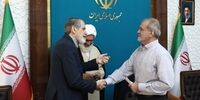 حمایت عجیب دبیرکل جبهه پایداری از دولت پزشکیان/ روزنامه آرمان ملی: شاهد تناقضی آشکار در عملکرد پایداری‌ها هستیم/ به نظر این چنین مواضع و اظهاراتی صرفا جنبه تعارفات مرسوم را دارد