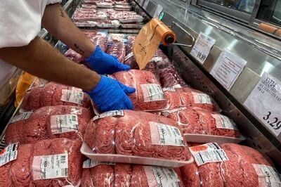 گوشت گوساله گران شد