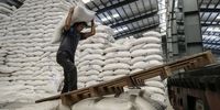 برنج خارجی به ایران می‌رسد؛ ابهام در ثبت سفارش واردات برنج