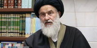 انتقاد هم میهن از اظهارات یک عضو خبرگان/ چرا رخدادهای این مجلس نباید شفاف باشد؟