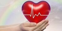 اعضای بدن نوجوان مرگ مغزی، جان ۶ نفر را نجات داد