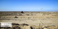 هشدار سازمان منابع طبیعی درباره خشکسالی در ایران