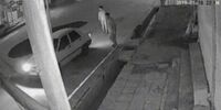 لحظه سقوط خودرو پراید در حفره به وجود آمده در خیابان + فیلم