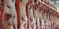 توزیع گوشت ۲۲۰ هزار تومانی در میادین