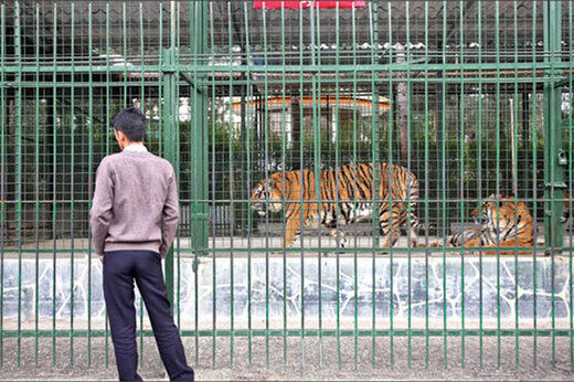 تصاویری باورنکردنی از یک باغ وحش خانگی در اصفهان+ فیلم