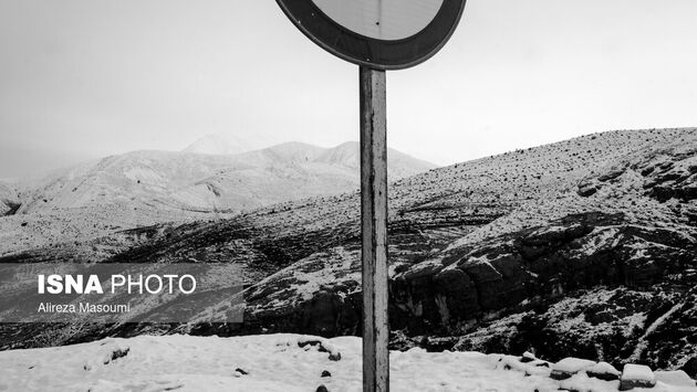 62187537_Alireza-12-of-49-