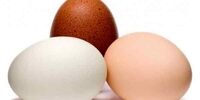 یک حقیقت باور نکردنی درباره تخم مرغ های قهوه ای 