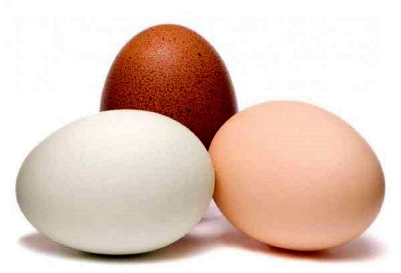 یک حقیقت باور نکردنی درباره تخم مرغ های قهوه ای 