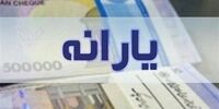 وزیر رفاه: دهک بندی اقتصادی خانوارها مکانیزه است نه دستی