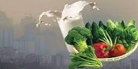 عوارض آلودگی هوا/ در روزهای آلوده چه خوراکی مصرف کنیم؟