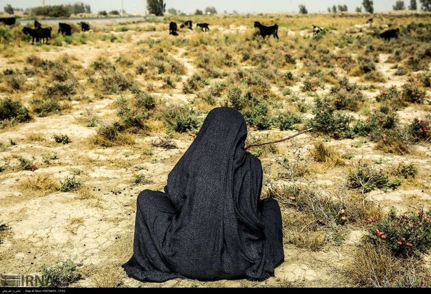 سیستان عکس: اکبر توکلی