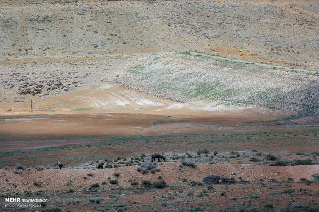 3766113_IMG_2013