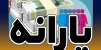 یارانه چه کسانی اول شهریور قطع می شود؟