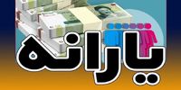 یارانه چه کسانی اول شهریور قطع می شود؟