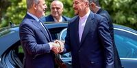 جعبه سیاه اردوغان در ایران/ امیرعبداللهیان استقبال کرد+فیلم