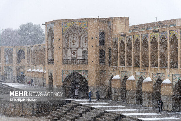5mBWL8vNrECa