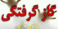 قاتل خاموش زمستان اولین قربانی خود را در این استان کشور گرفت