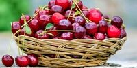 این افراد لب به آلبالو نزنند