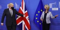 تصمیمات جنجالی ترامپ ادامه دارد /مصائب ایرلندی پسابرگزیت /مالک کاخ روسی پوتین نبود
