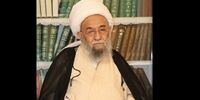 مرجع تقلید شیعه در بیمارستان بستری شد