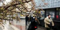 باد شدید در راه تهران