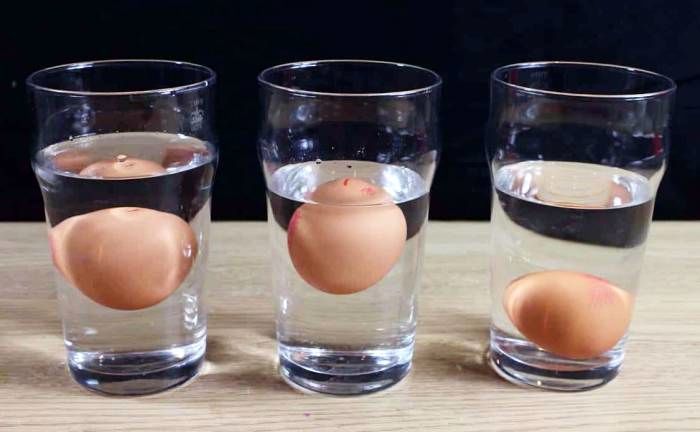 با این ترفند ساده سن تخم مرغ را تشخیص بدهید 