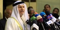 امارات: تنها راه حل جنگ غزه  تشکیل دو کشور است
