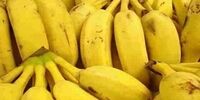مصرف این موز در عرض ۲ ساعت شما را می‌کُشد!

