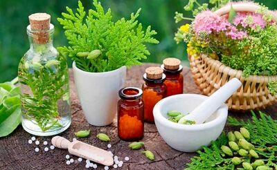 اثرات معجزه‌آسای این گیاهان دارویی در کاهش علائم «ام اس» 